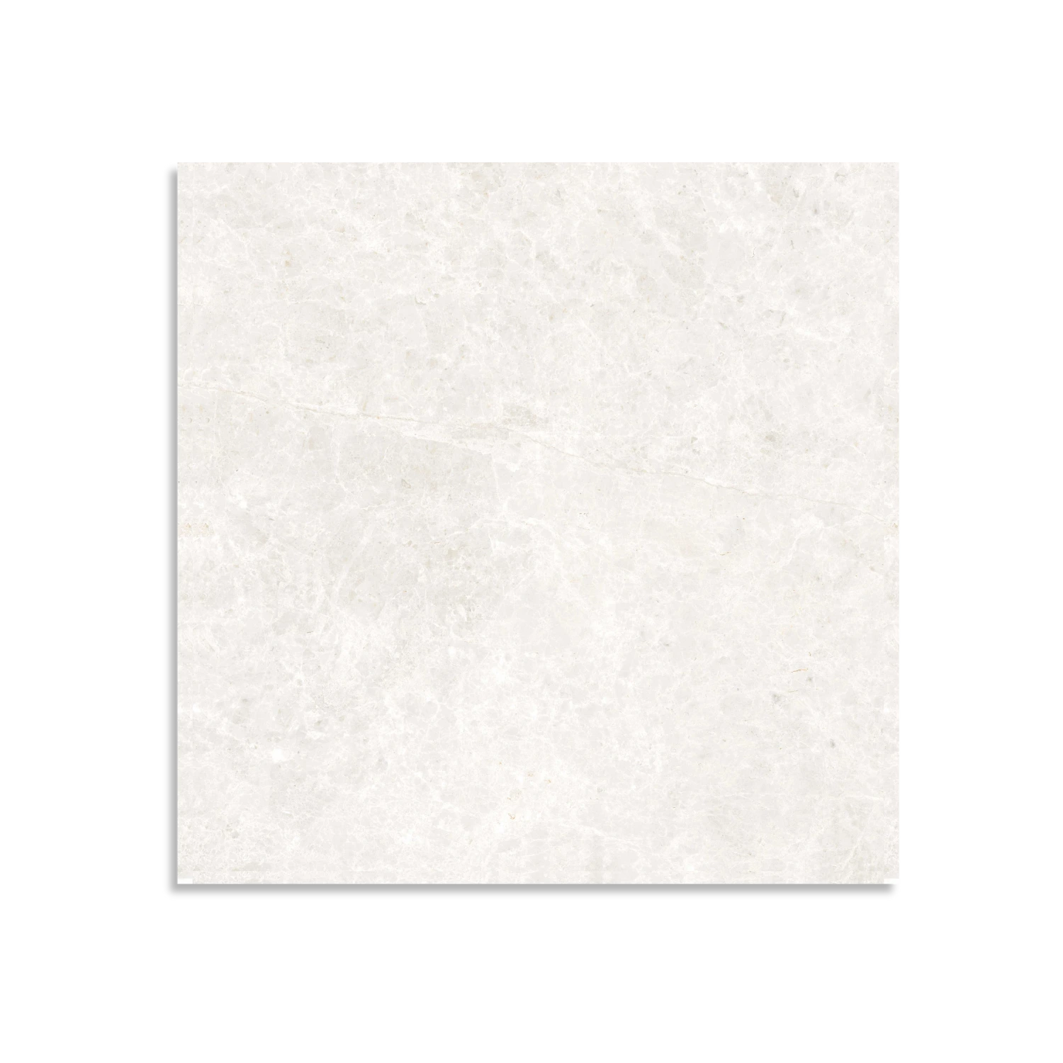 Arlo Ice Matt Tile - Tilewave | Tile Supplier Sydney