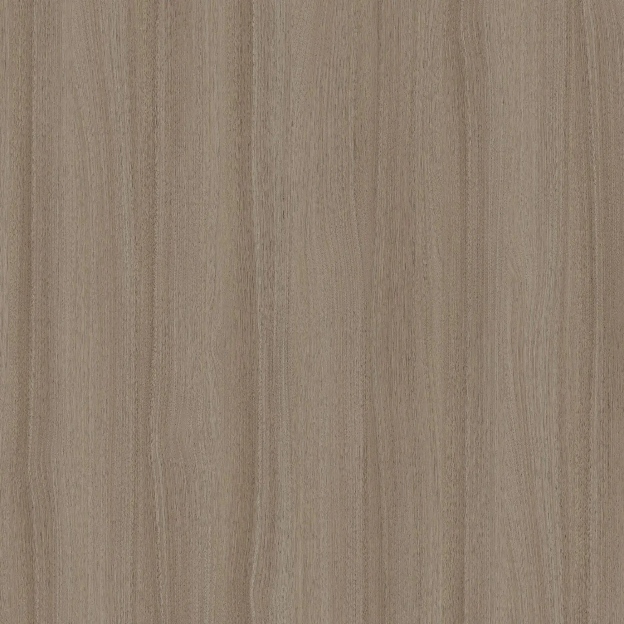 Shelby Walnut | Flat Wall Panel - Tilewave | Tile Supplier Sydney