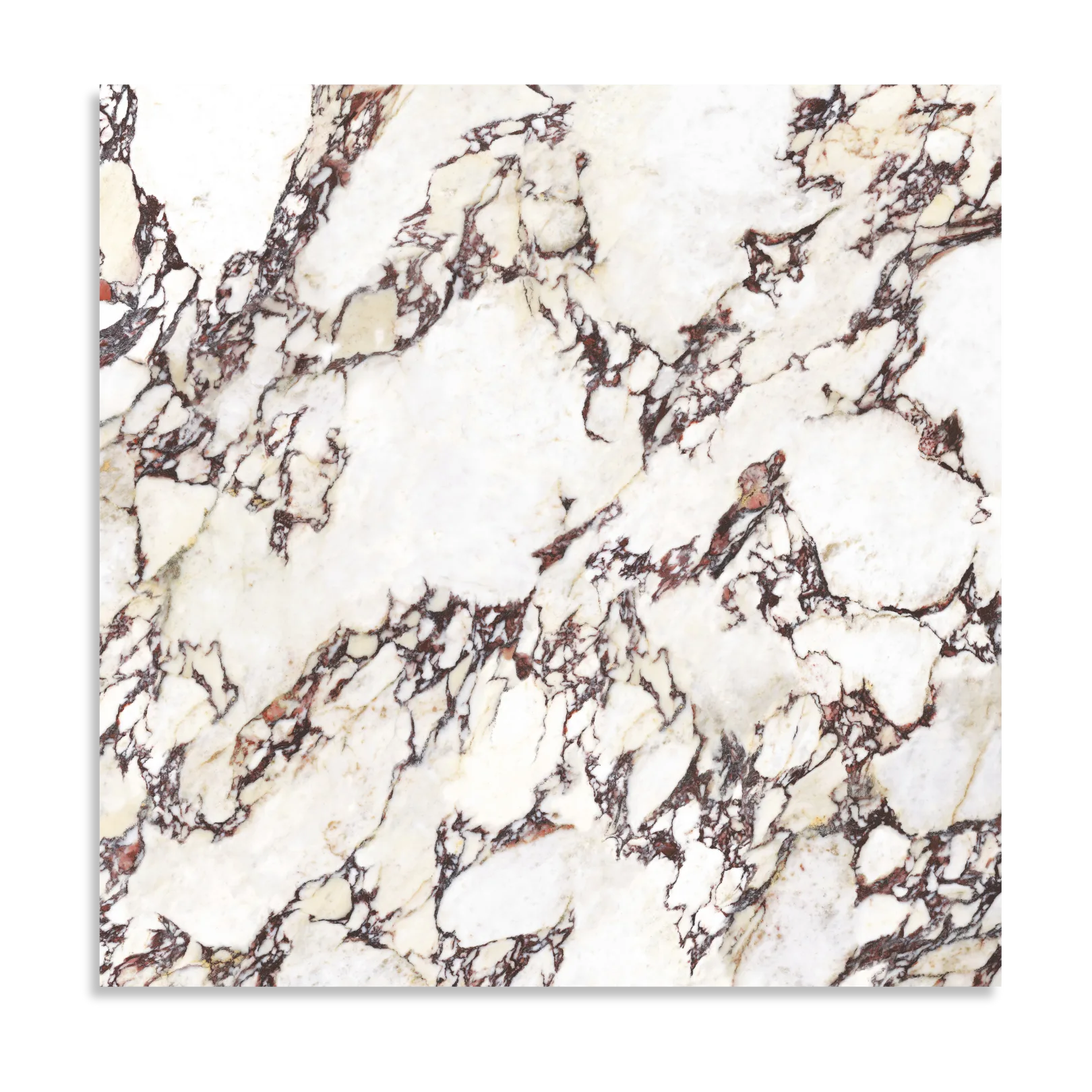 Wonderland Calacatta Viola Matt Tile - Tilewave | Tile Supplier Sydney