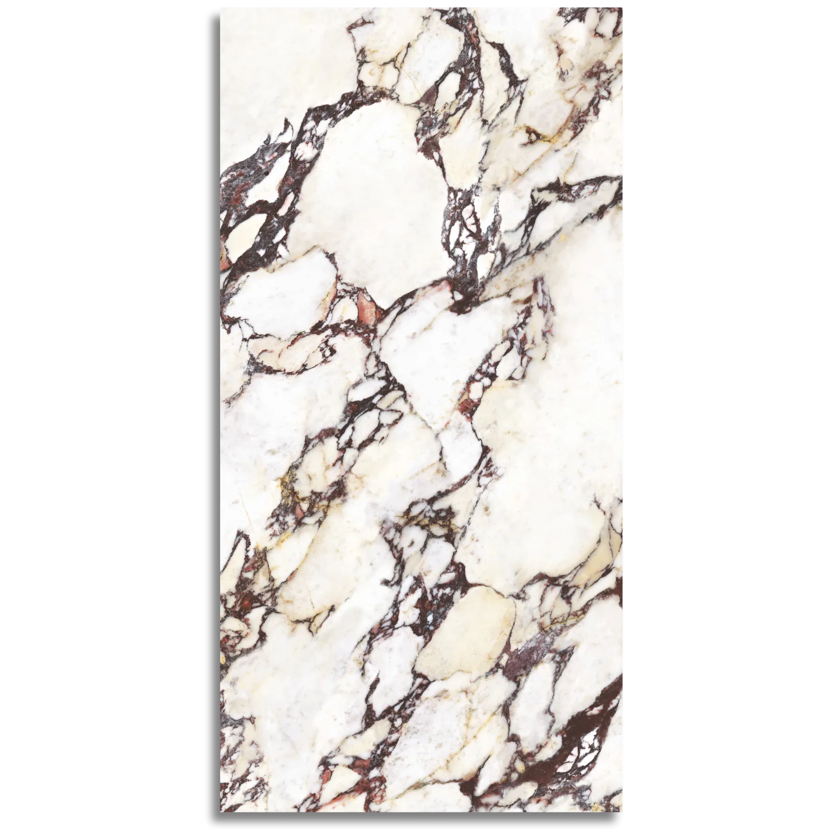 Wonderland Calacatta Viola Matt Tile - Tilewave | Tile Supplier Sydney