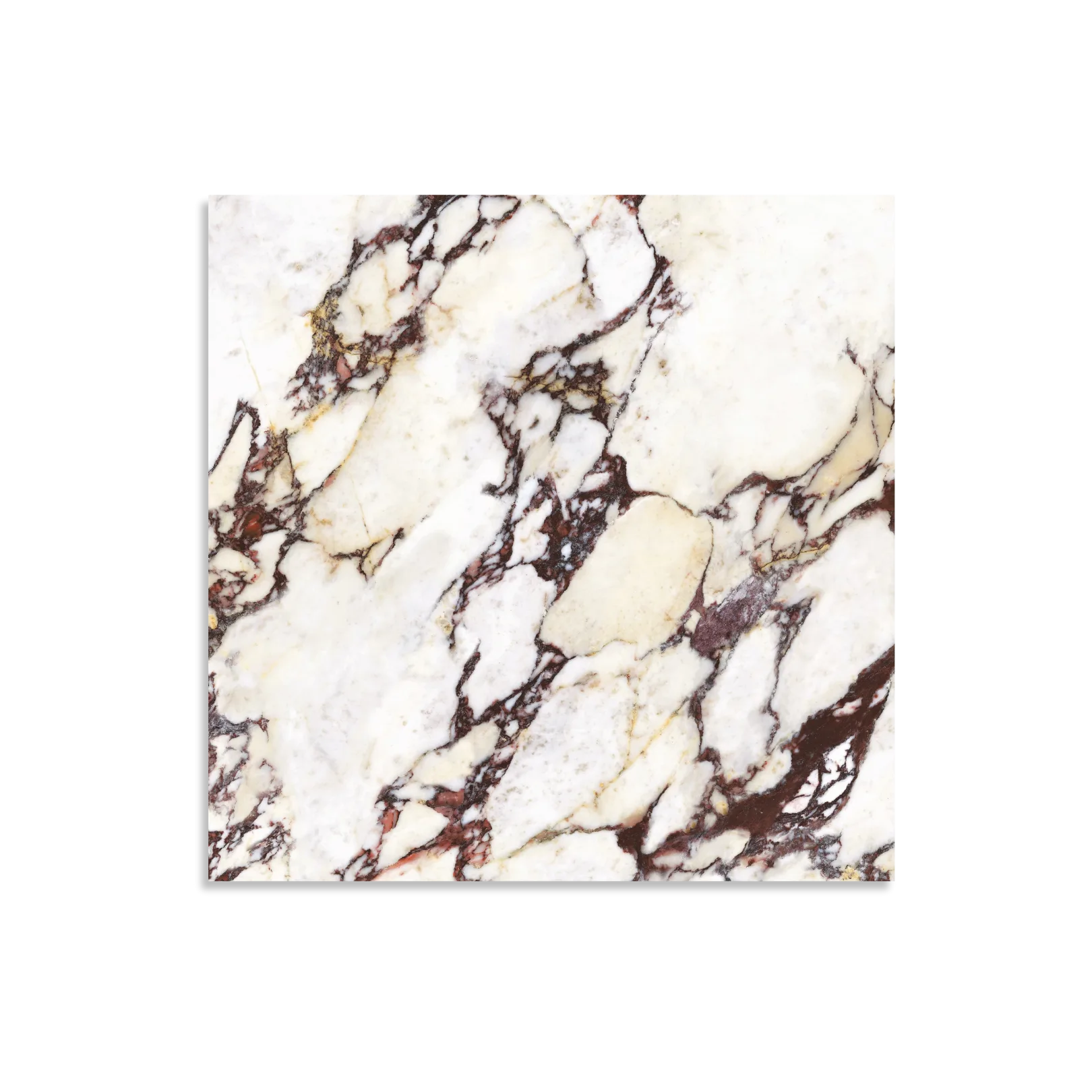 Wonderland Calacatta Viola Matt Tile - Tilewave | Tile Supplier Sydney