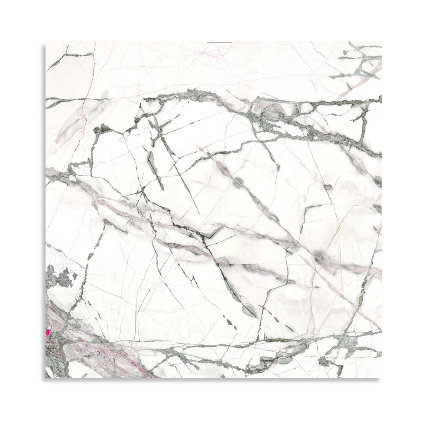 Florence Collection Cellini Matt Tile - Tilewave | Tile Supplier Sydney