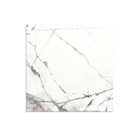 Florence Collection Cellini Matt Tile - Tilewave | Tile Supplier Sydney