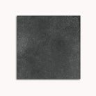 Alba Charcoal In/Ext Tile - Tilewave | Tile Supplier Sydney