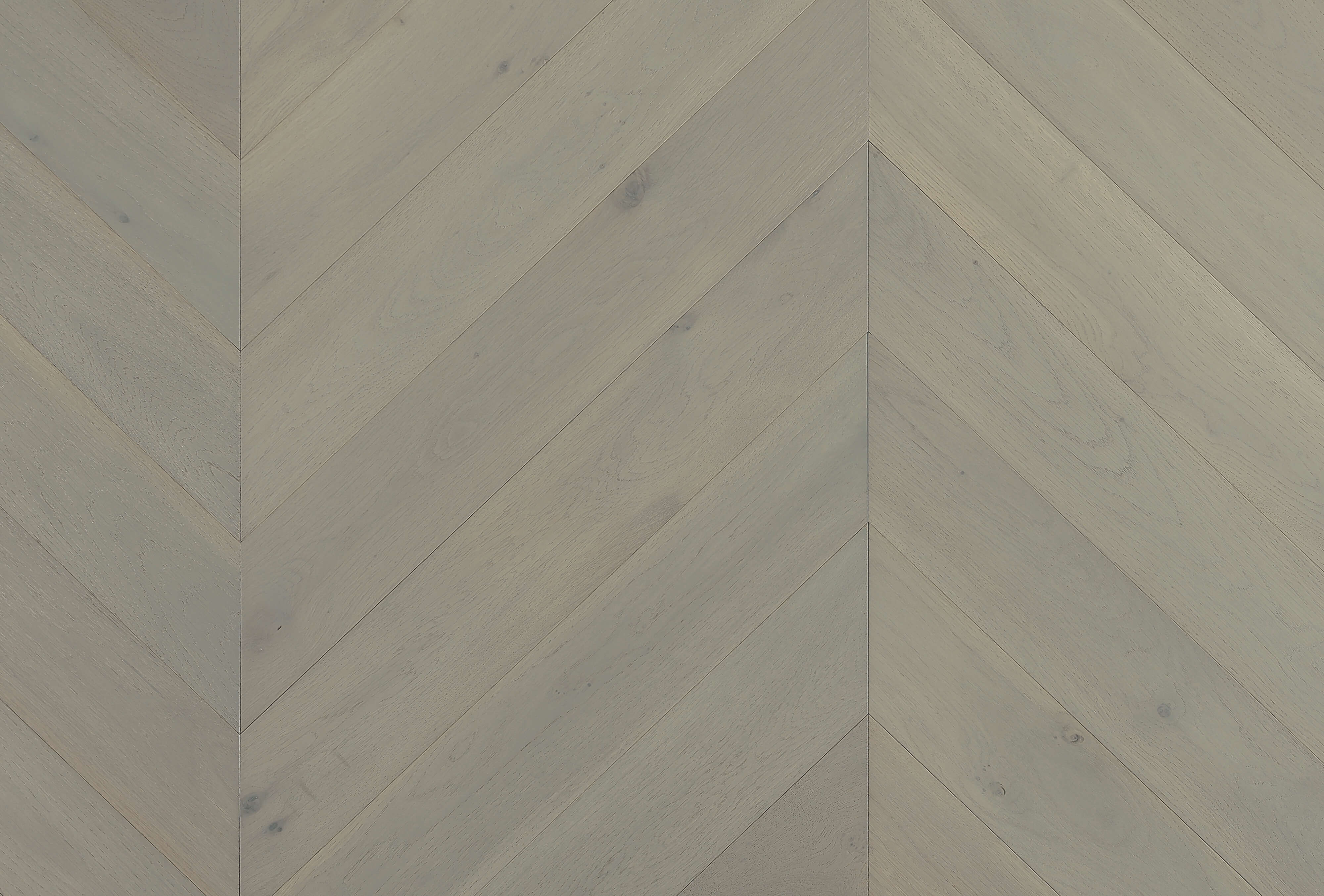 Cavallo Bianco Chevron Planks | Limed Ash - Topdeck | Tile Supplier Sydney