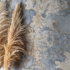 Meteorite Collection Ocean - Tilewave | Tile Supplier Sydney