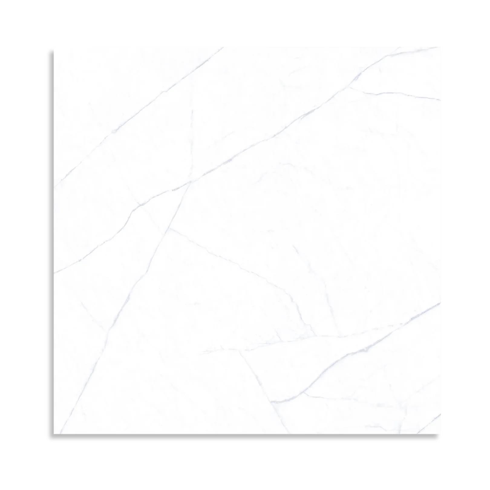 Florence Collection Michelangelo Matt Tile - Tilewave | Tile Supplier Sydney