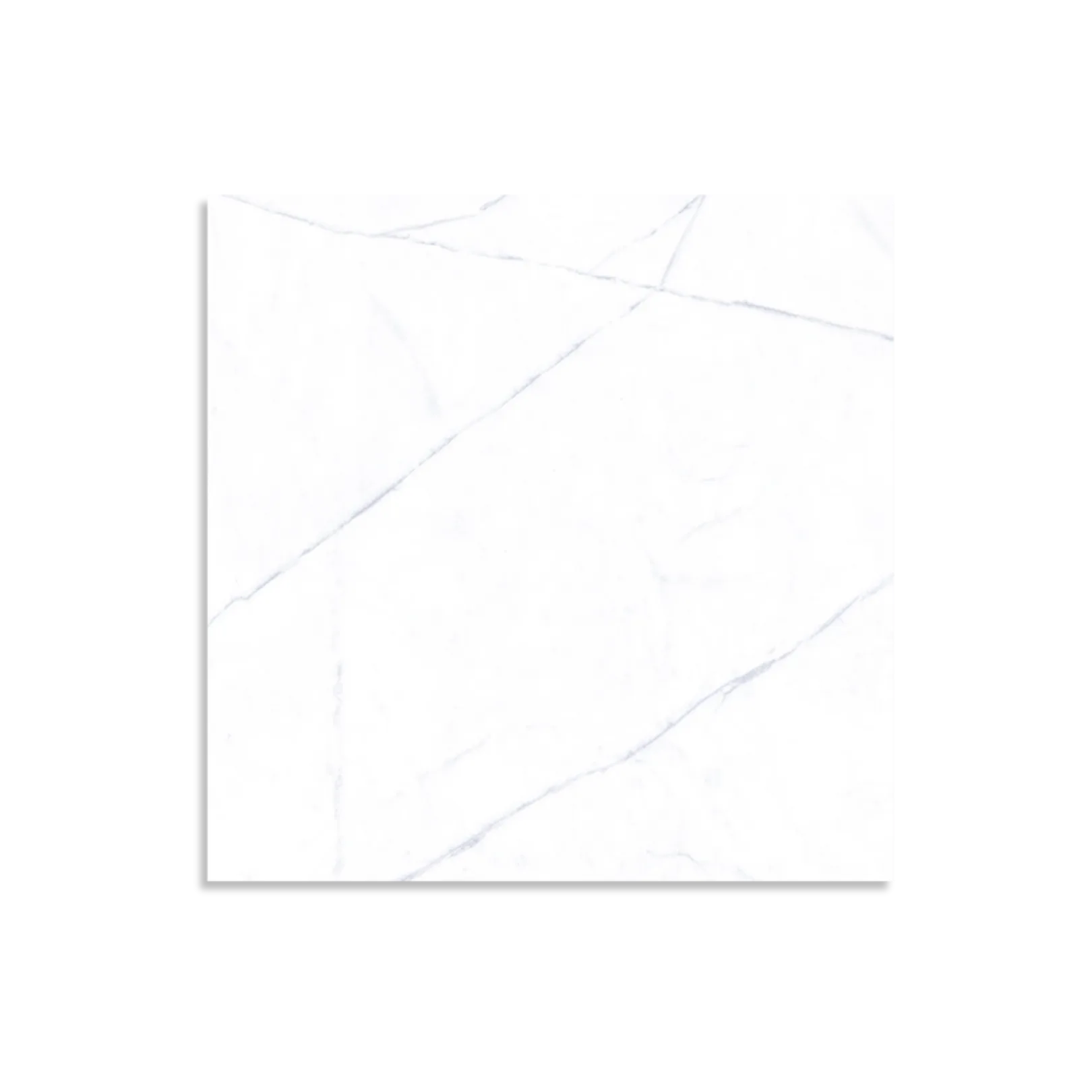 Florence Collection Michelangelo Matt Tile - Tilewave | Tile Supplier Sydney