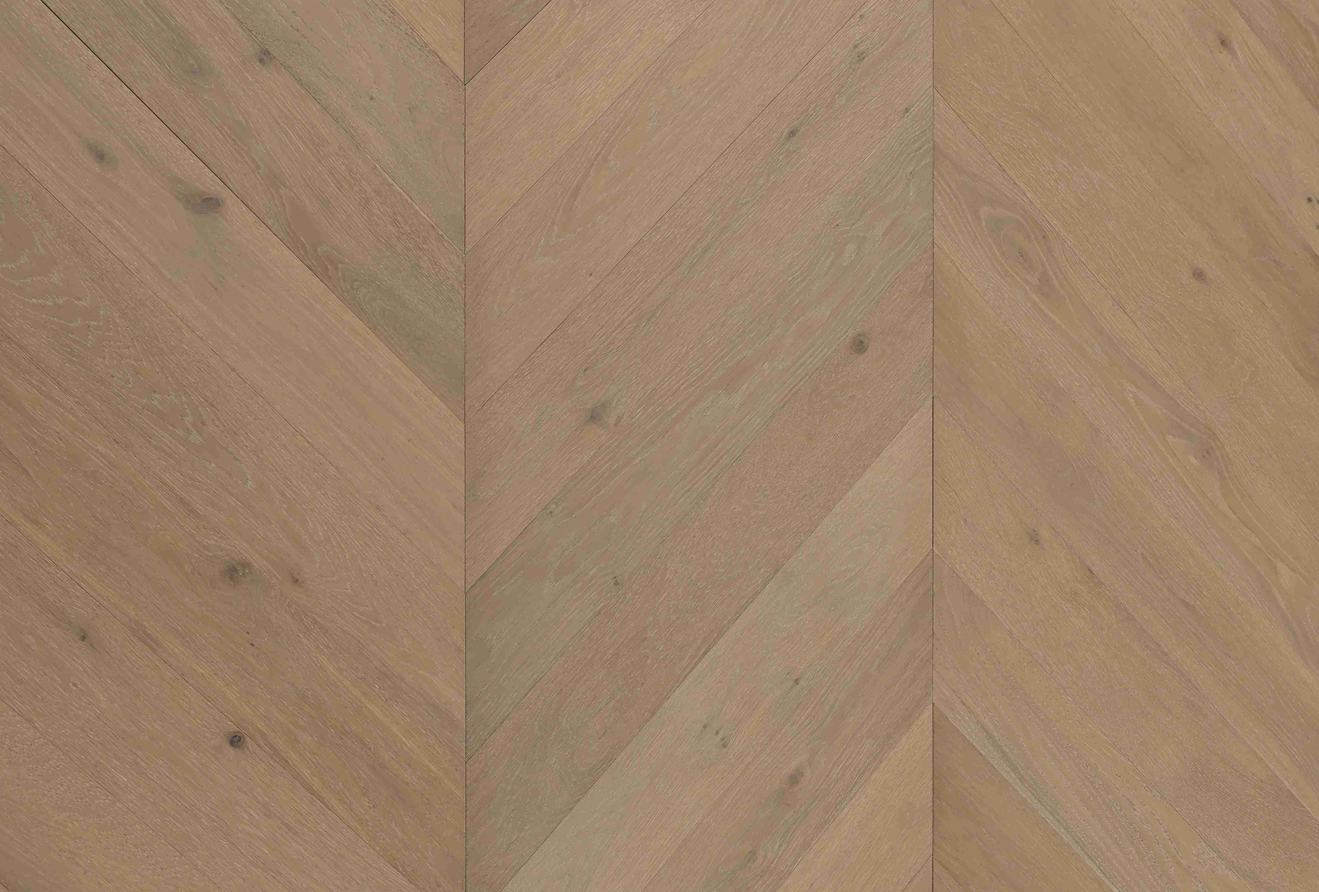 Cavallo Bianco Chevron Planks | Oyster Bay - Topdeck | Tile Supplier Sydney