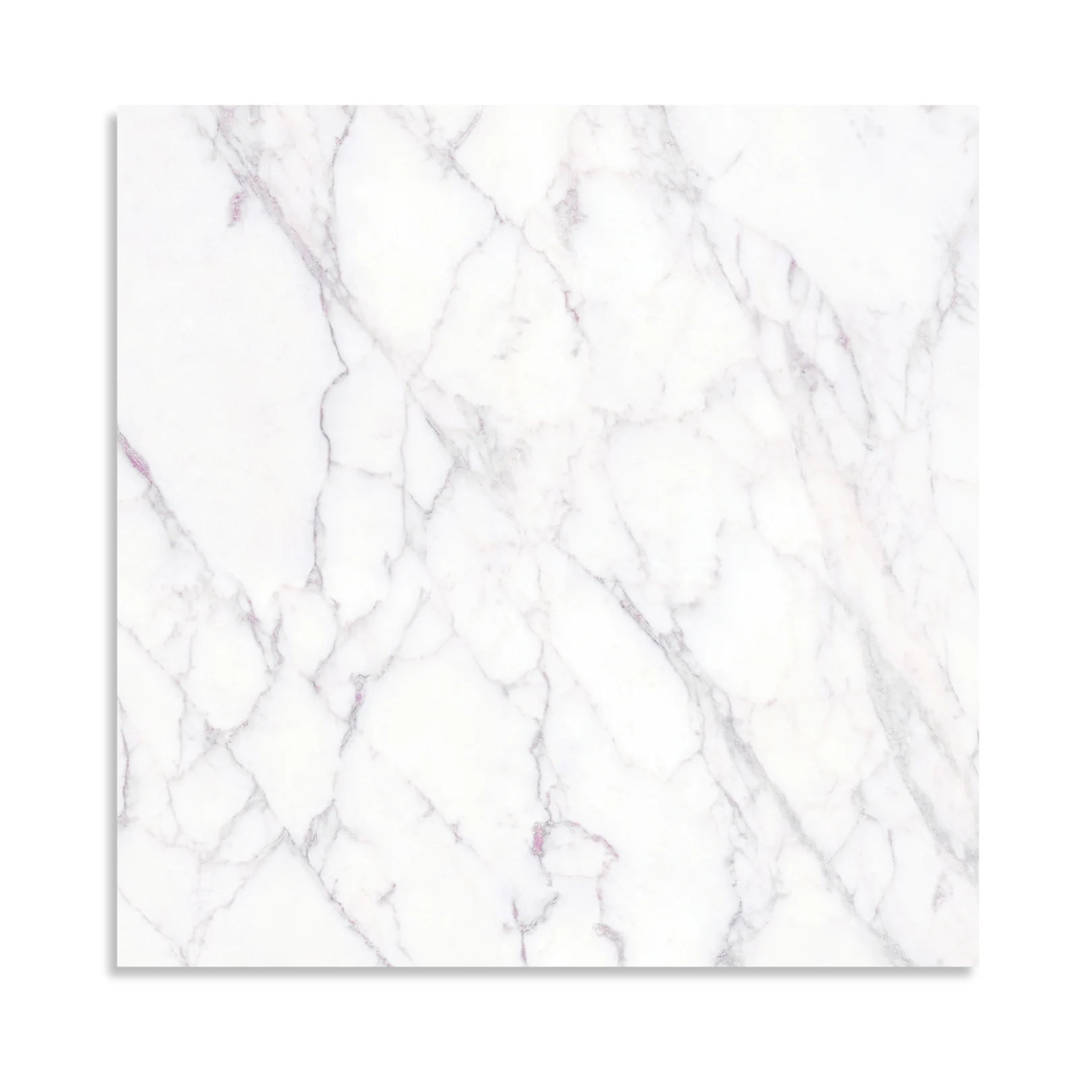 Florence Collection Palladio Matt Tile - Tilewave | Tile Supplier Sydney
