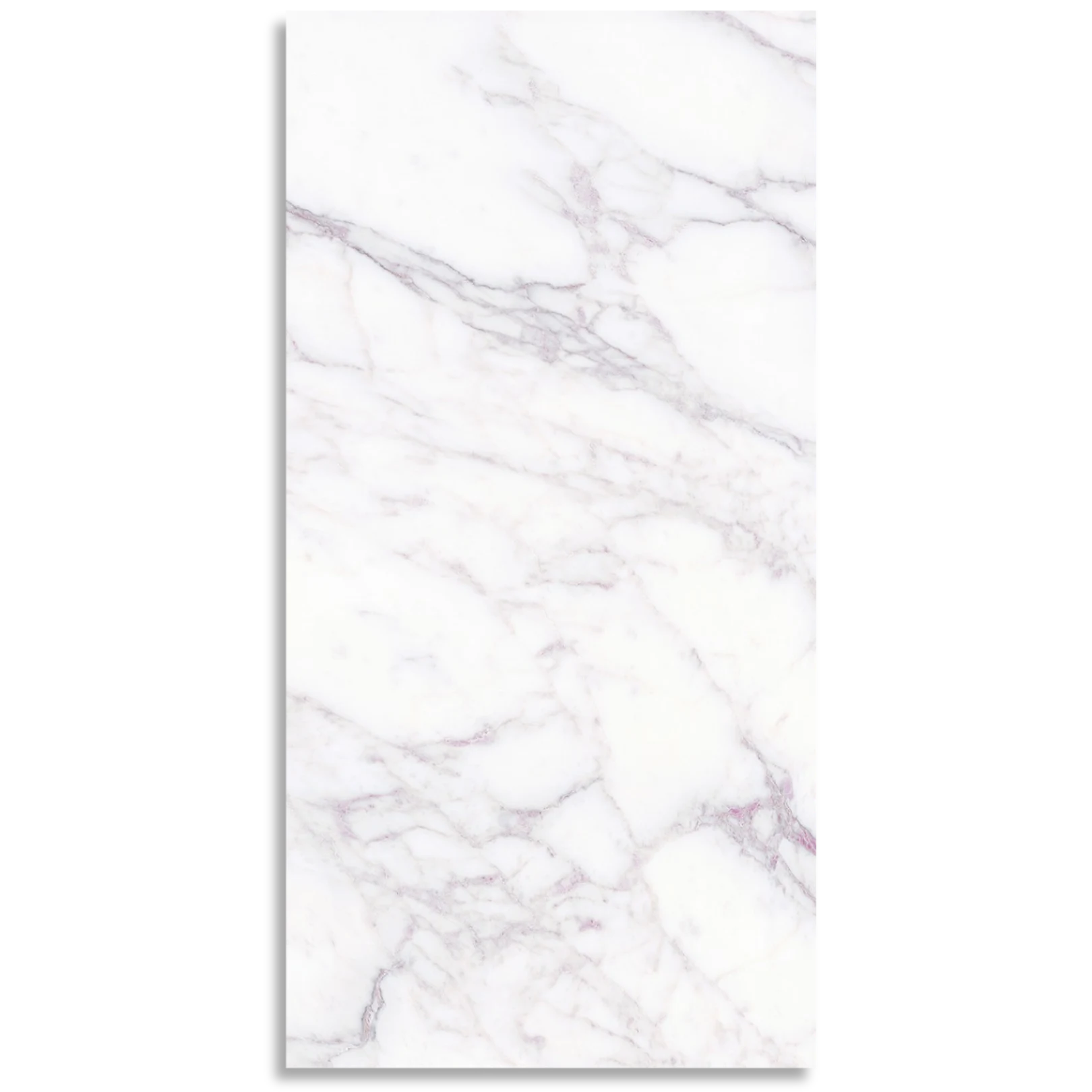 Florence Collection Palladio Matt Tile - Tilewave | Tile Supplier Sydney