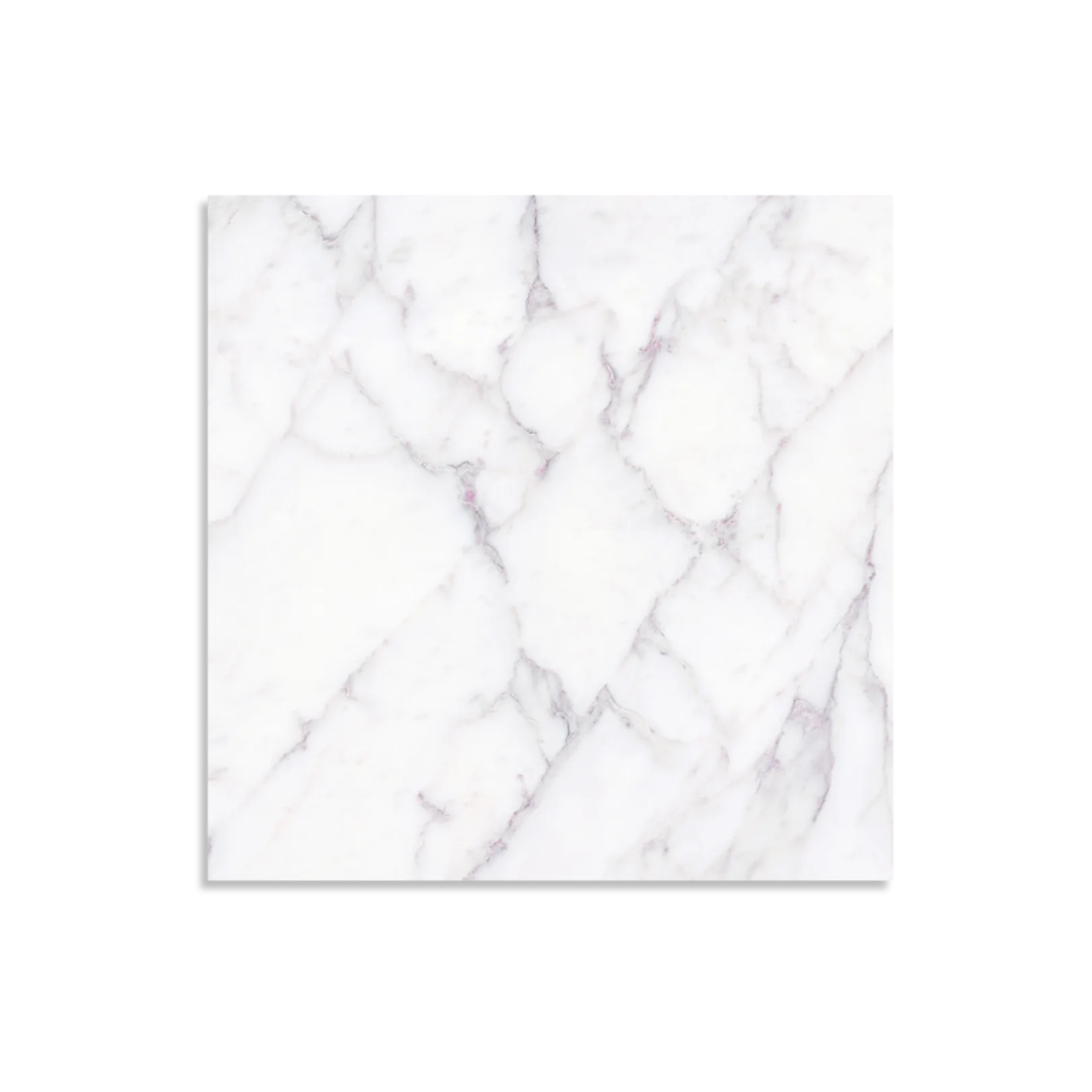 Florence Collection Palladio Matt Tile - Tilewave | Tile Supplier Sydney