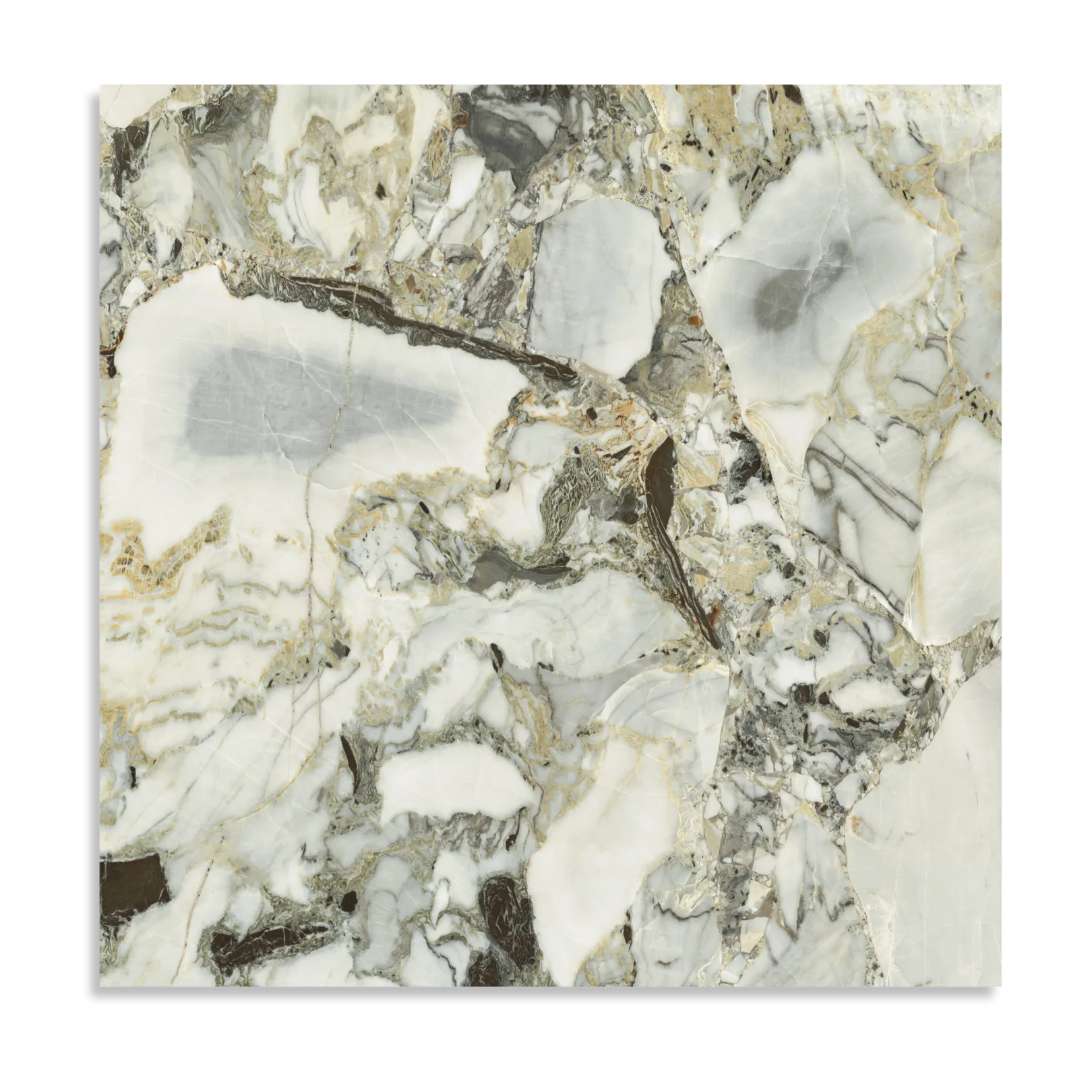 Wonderland White Beauty Matt Tile - Tilewave | Tile Supplier Sydney