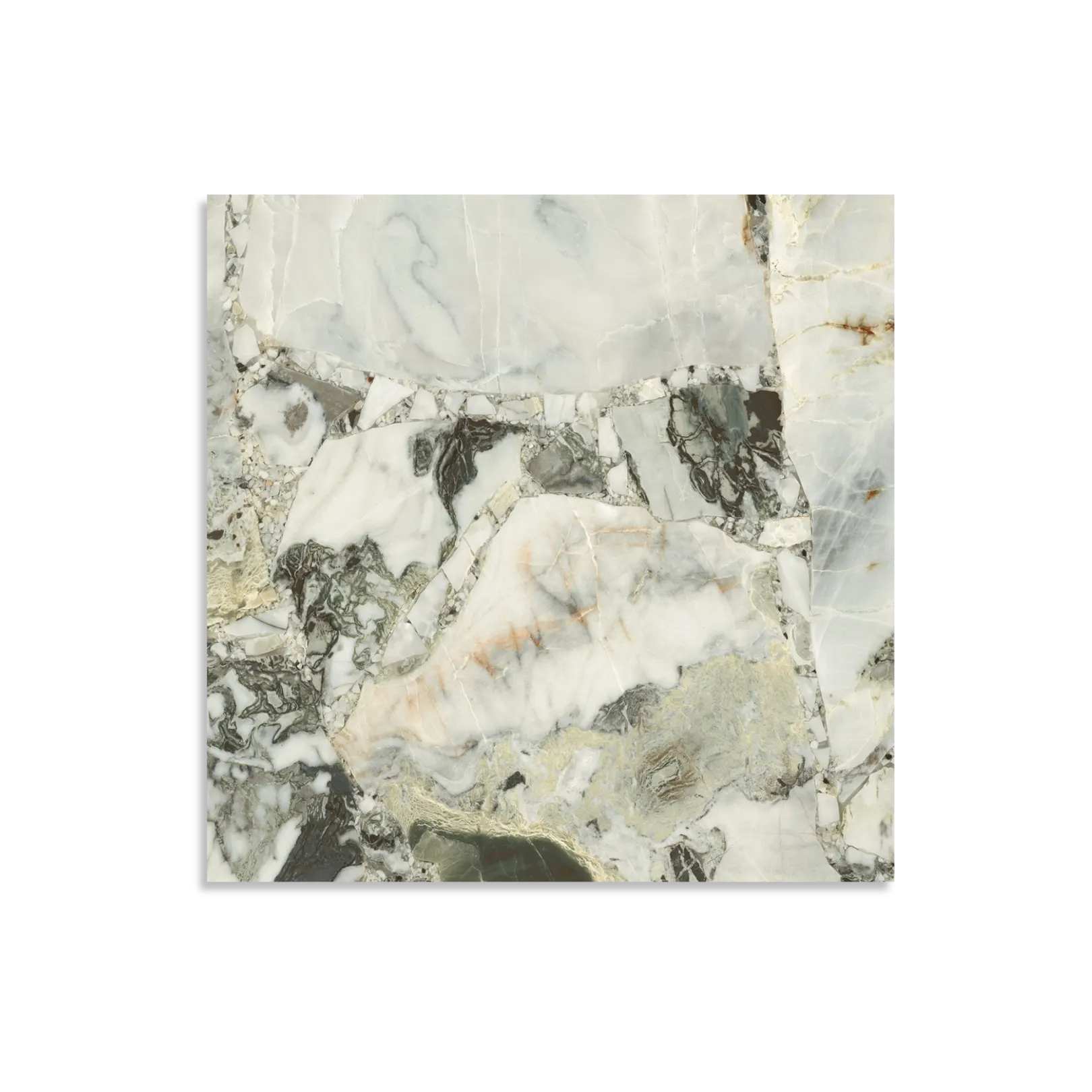 Wonderland White Beauty Matt Tile - Tilewave | Tile Supplier Sydney