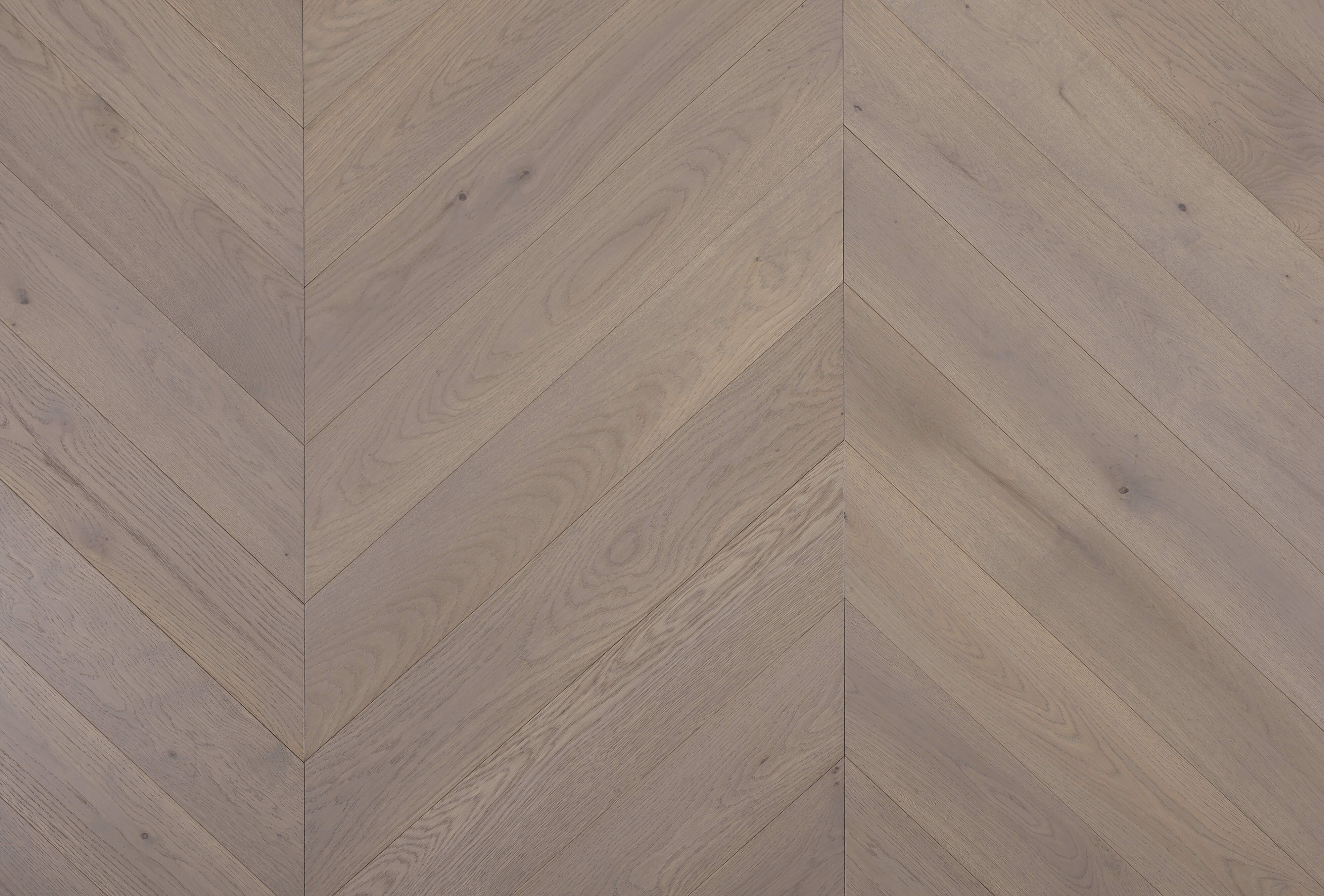 Cavallo Bianco Chevron Planks | Amaretti Oak - Topdeck | Tile Supplier Sydney