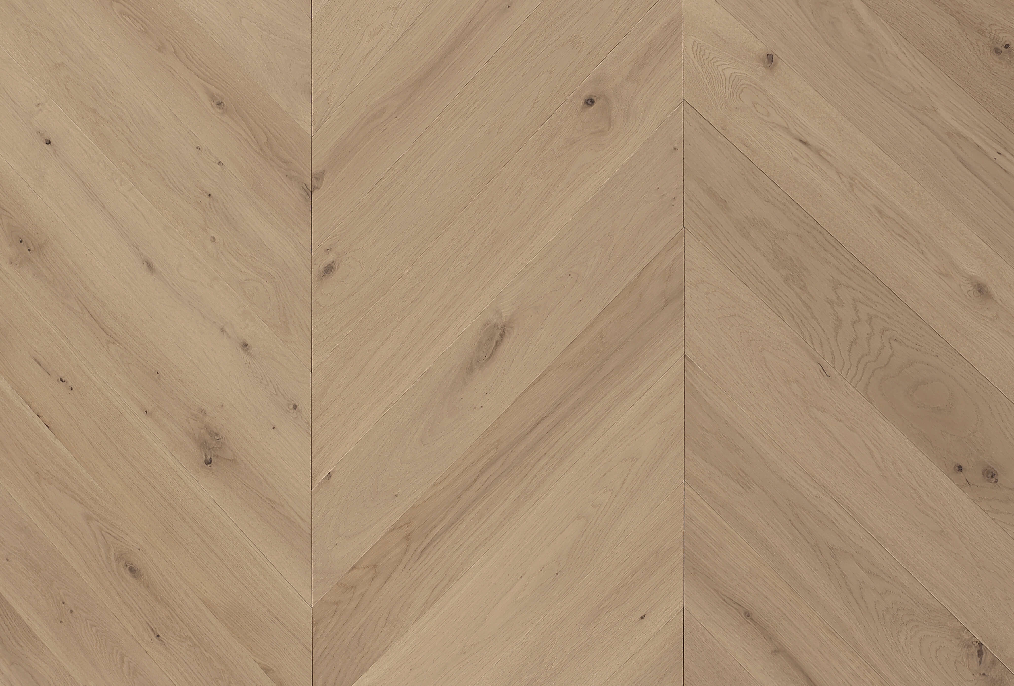 Cavallo Bianco Chevron Planks | British Oak Natural - Topdeck | Tile Supplier Sydney