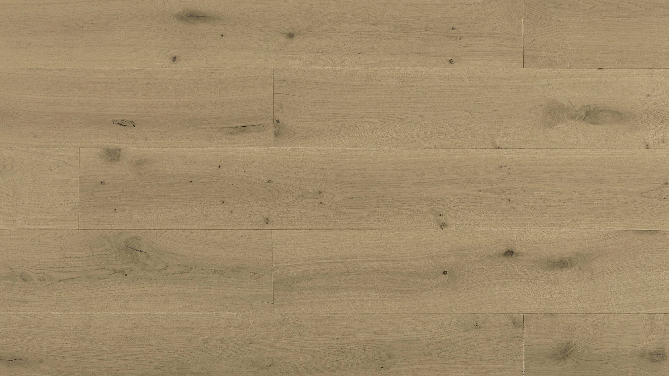 Lavanda Euro Oak Engineered | Champagne - Topdeck | Tile Supplier Sydney