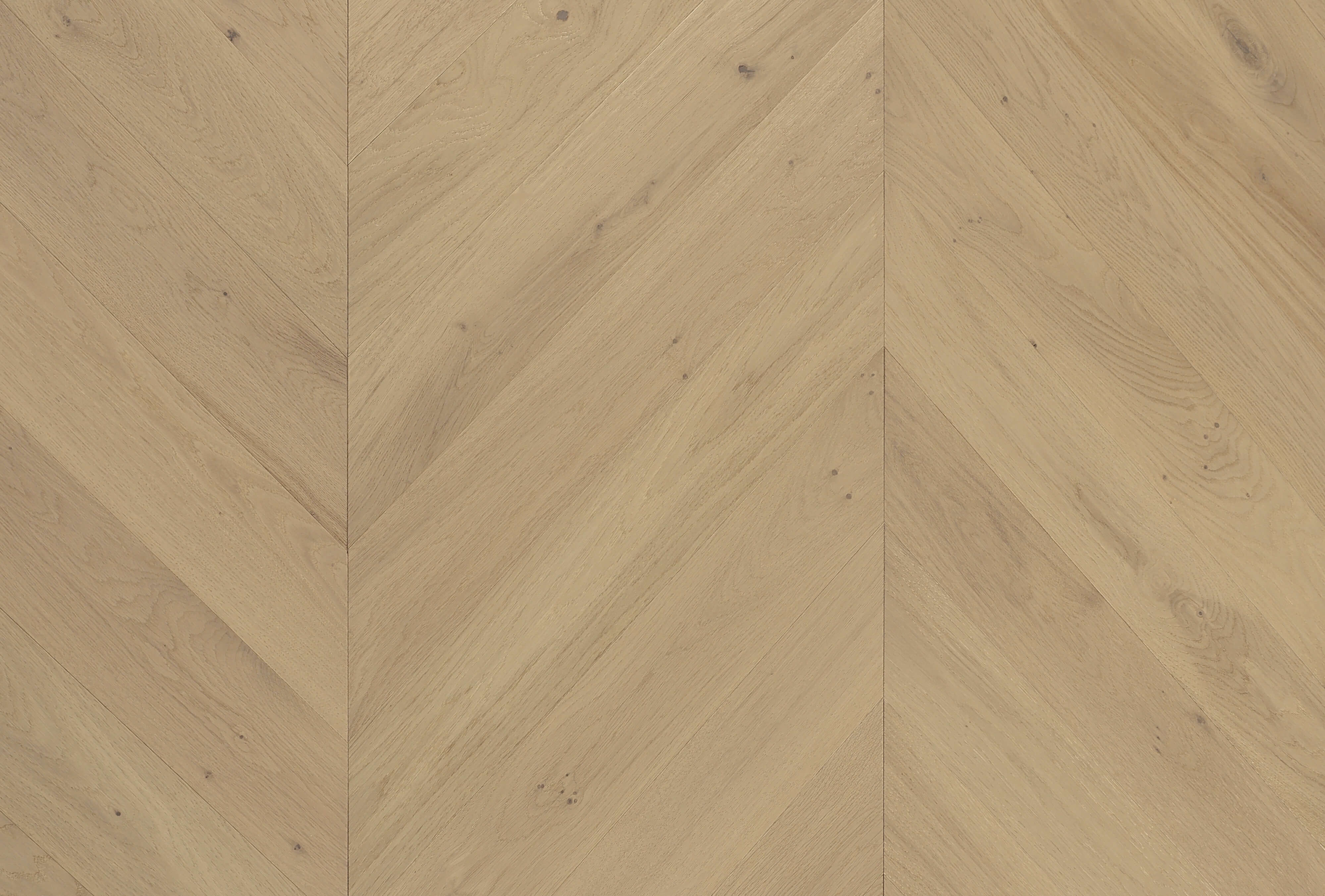 Cavallo Bianco Chevron Planks | Champagne - Topdeck | Tile Supplier Sydney