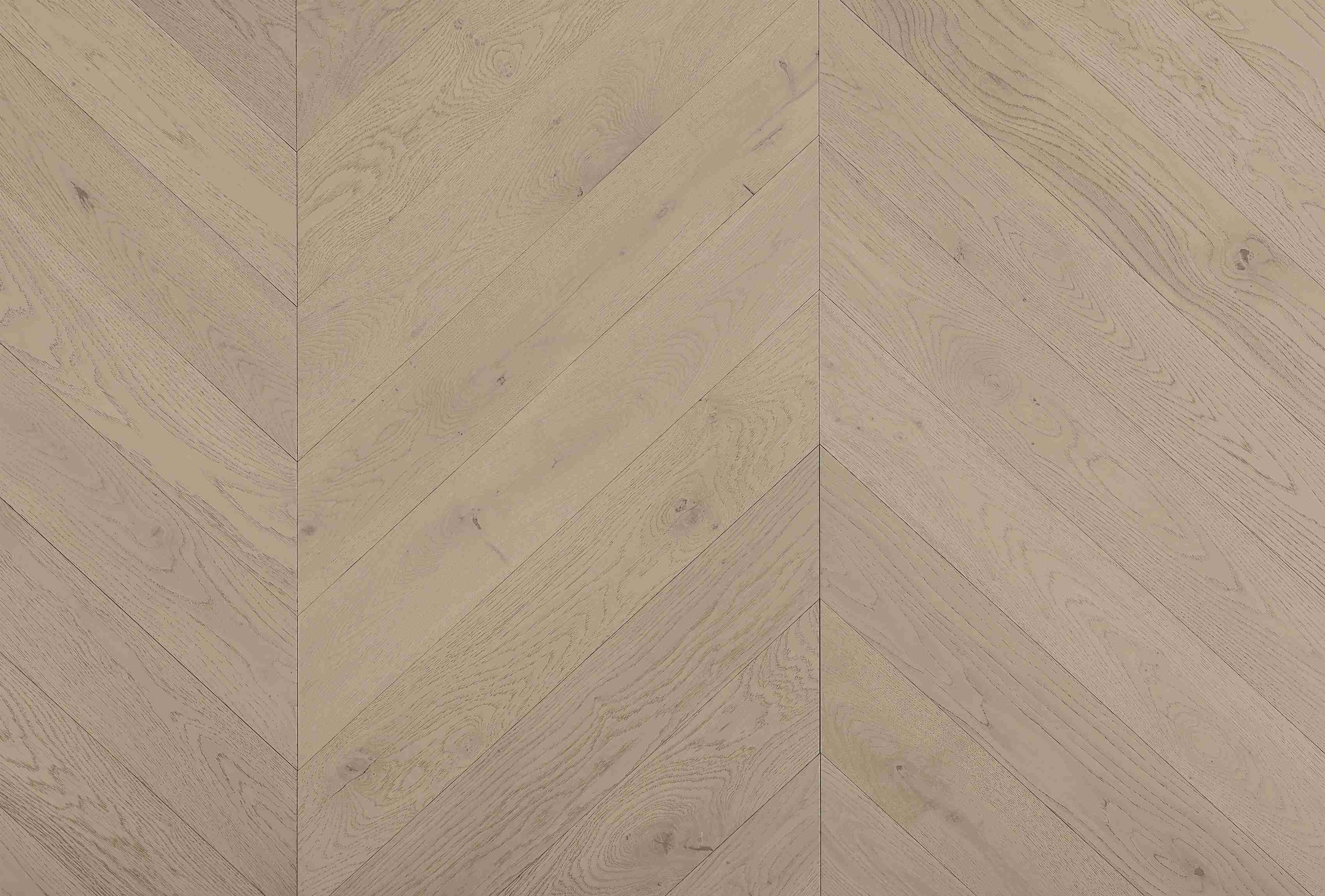 Cavallo Bianco Chevron Planks | Cromer Oak - Topdeck | Tile Supplier Sydney