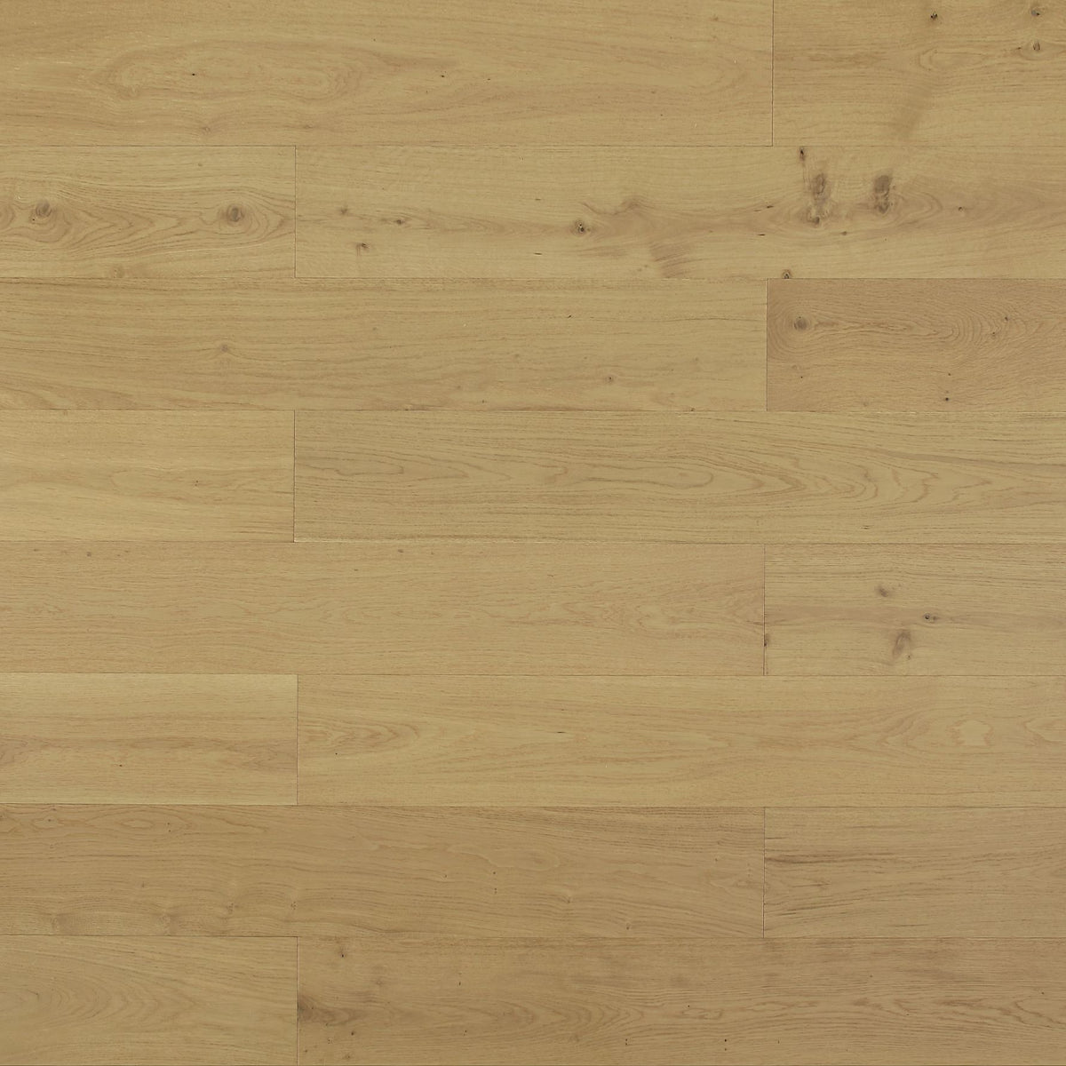 Project Oak Engineered Wood Flooring – Tilewave