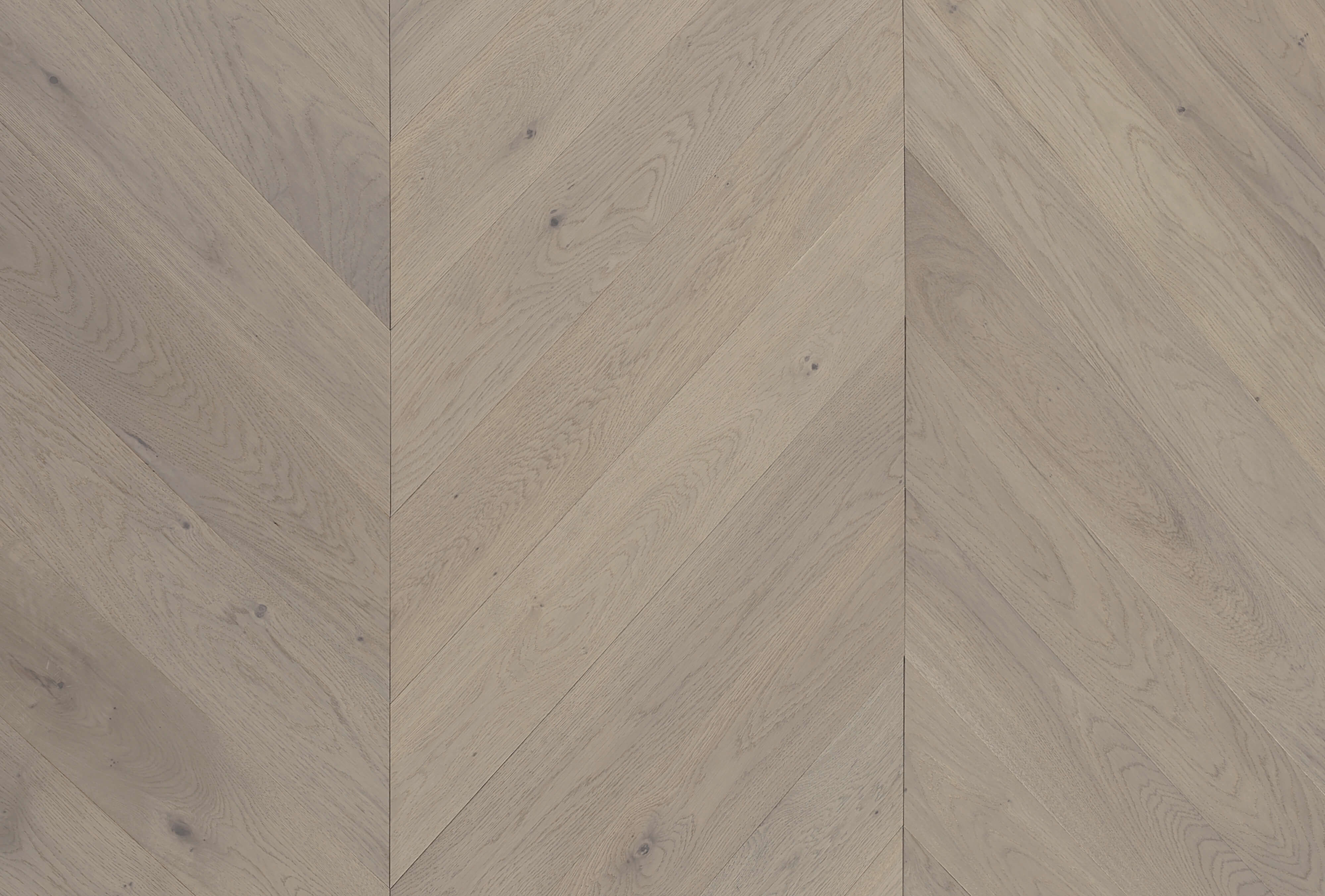 Cavallo Bianco Chevron Planks | Panania Oak - Topdeck | Tile Supplier Sydney