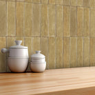 Kitchen counter with ceramic jars and a plant against a tiled wall.